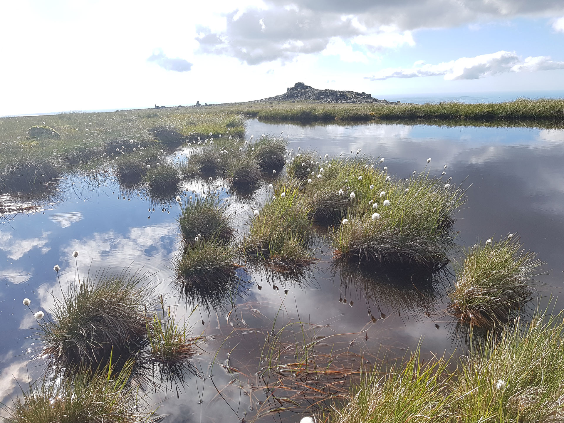 Image of a waterlogged peatland