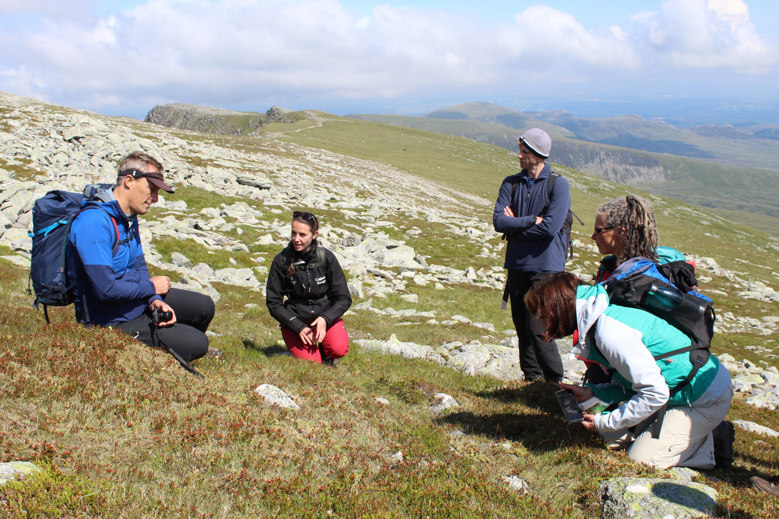 group of people looking at Montane Heath on the slopes of the Carneddau